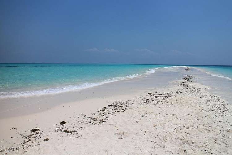 Una spiaggia a Zanzibar